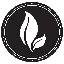 Eternal Essence Oils logo